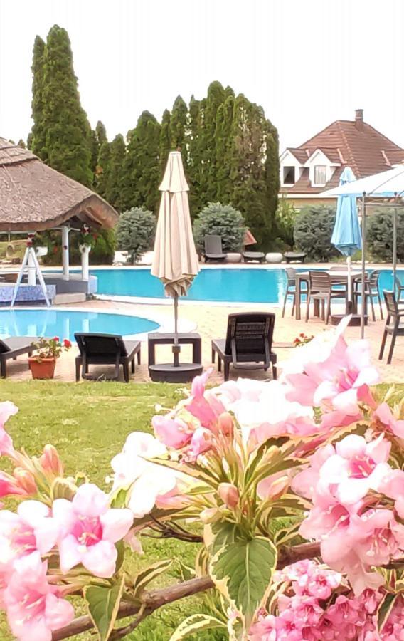 Helena Studio Apartman Siofok Bagian luar foto