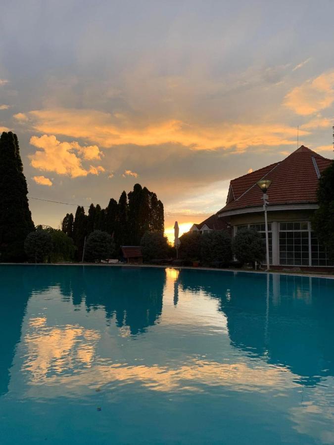 Helena Studio Apartman Siofok Bagian luar foto